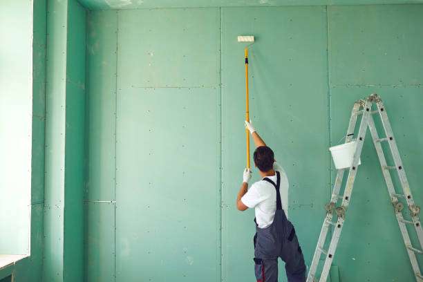 Mold Odor Removal Services in Westville, IL