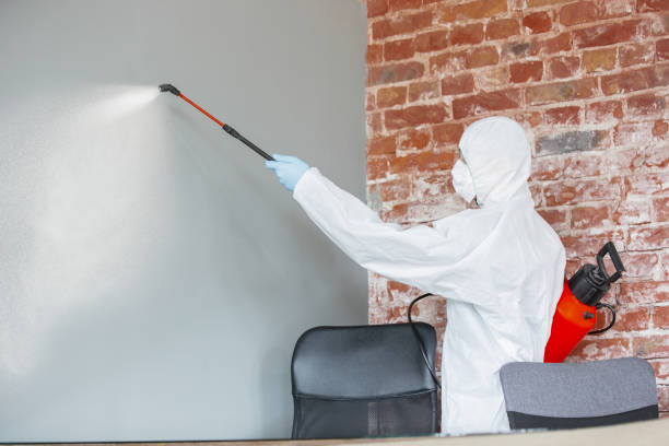 Best Airborne Mold Testing  in Westvle, IL