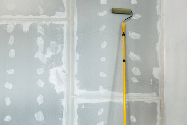 Best Basement Mold Removal  in Westvle, IL