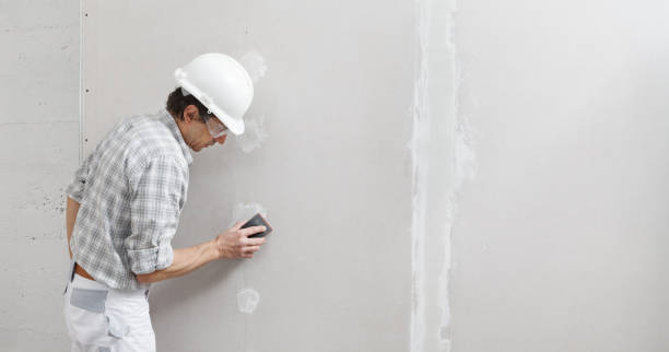 Best HVAC Mold Inspection and Cleaning  in Westvle, IL