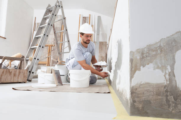 Best Commercial Mold Inspection  in Westvle, IL