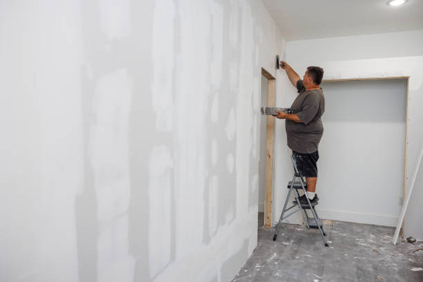 Best Mold Removal for HVAC Installations  in Westvle, IL