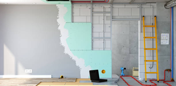 Best Biohazard Mold Removal  in Westvle, IL