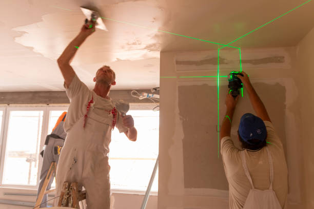 Professional Mold Removal in Westville, IL
