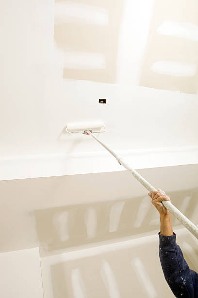 Best Mold Odor Removal Services  in Westvle, IL