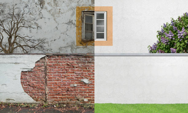 Best Biohazard Mold Removal  in Westvle, IL