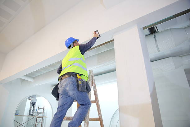 Best Asbestos and Lead Testing During Mold Inspection  in Westvle, IL