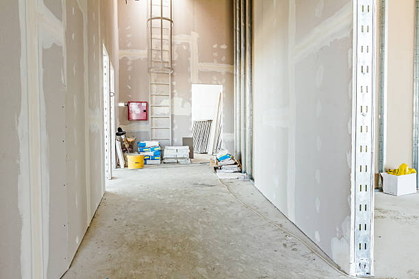 Best Comprehensive Air Testing for Mold Contaminants  in Westvle, IL