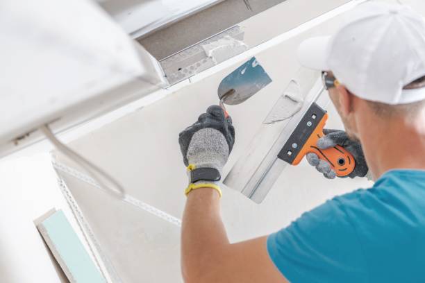 Best Emergency Mold Remediation  in Westvle, IL